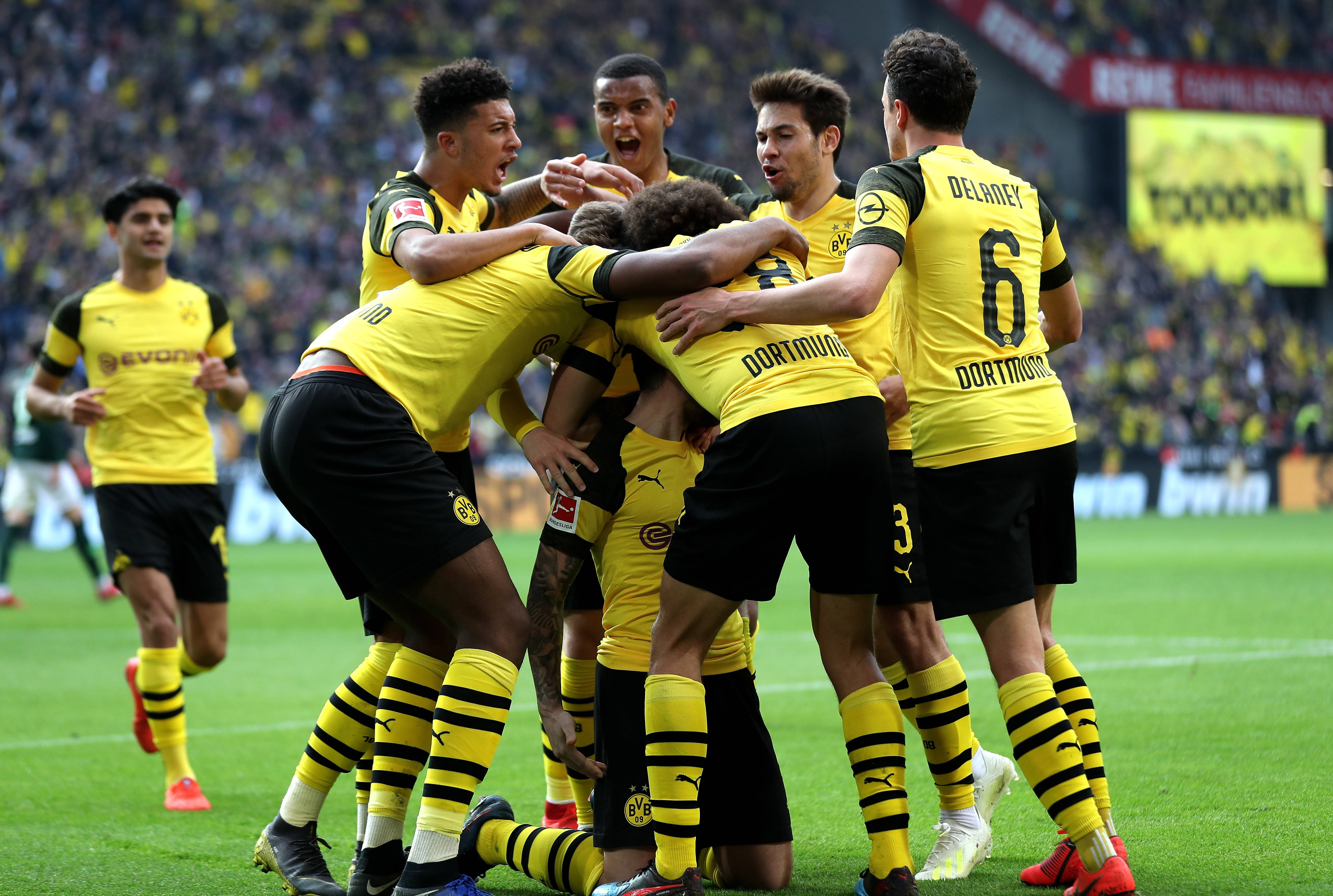 shapeofyou歌词中英对照   shapeofyou歌词中英对照